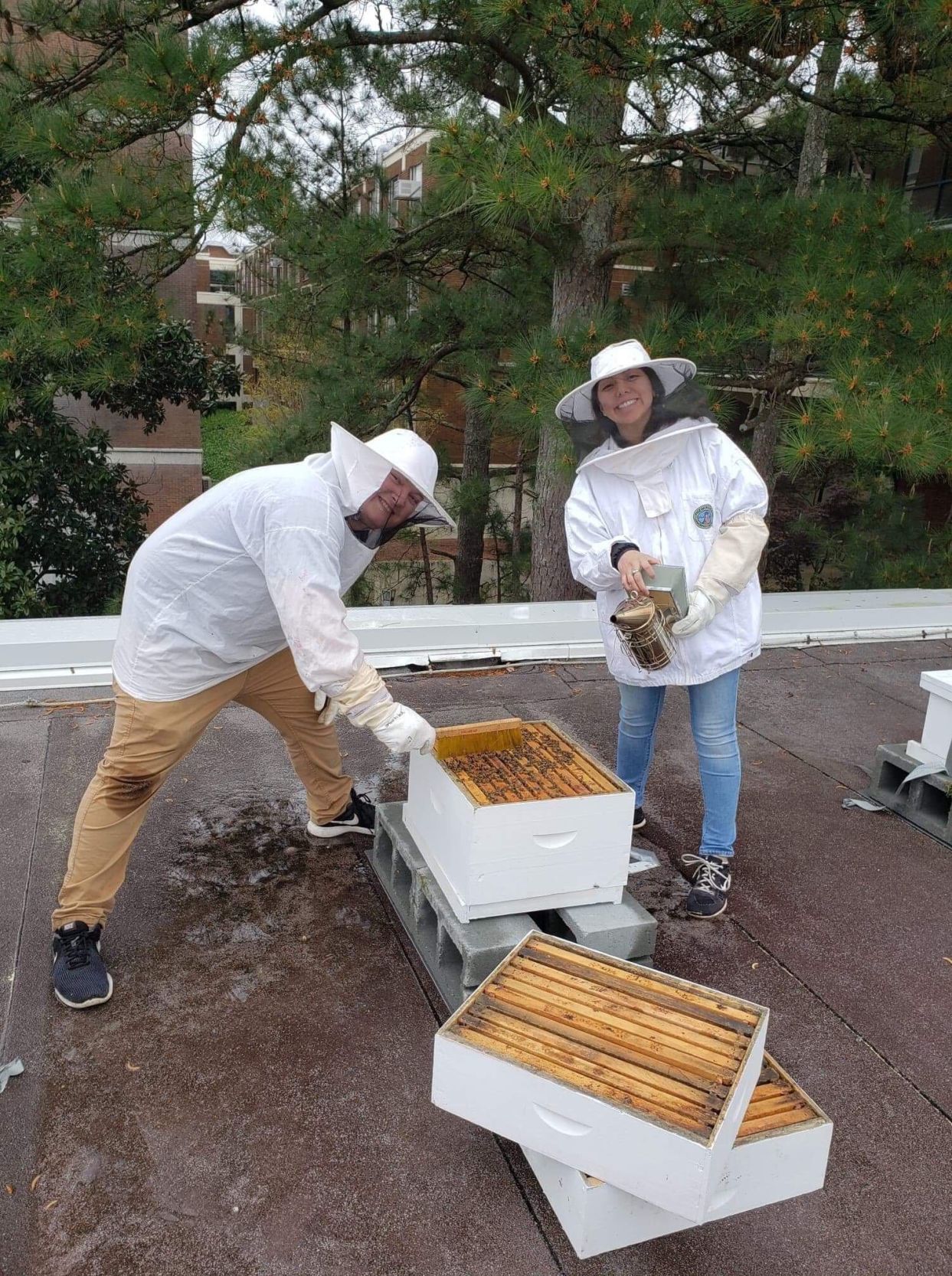 uga bee club